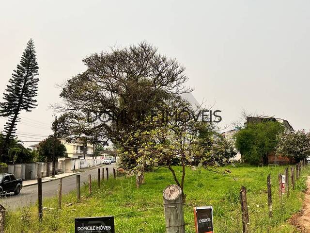 #1301 - Terreno para Venda em Criciúma - SC - 3